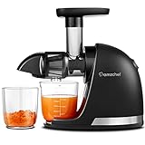 Cold Press Juicer Machines, AMZCHEF Slow Masticating Juicer with Reverse Function, High Juice Yield, Easy Clean with Brush,Recipes for High Nutrient Fruits and Vegetables, Black(Updated)