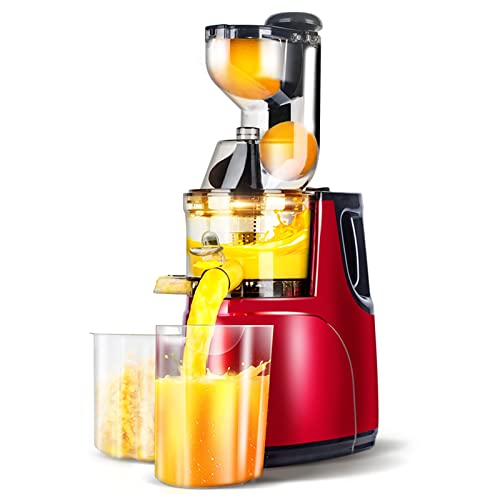 OverTwice Slow Masticating Juicer Cold Press Juice Extractor Apple Orange Citrus Juicer Machine with Wide Chute Quiet Motor for Fruit Vegetables