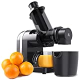 Greater Goods Slow Masticating Juicer, Easy to Clean Cold Press Juicer Machine, A Powerful Juice Extractor for Healthy and Delicious Fruit and Vegetable Juices, Designed in St. Louis