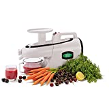 Tribest Green Star Elite GSE-5000-220V Jumbo Twin Gear Juice Extractor, 220V, NOT FOR USA USE,White