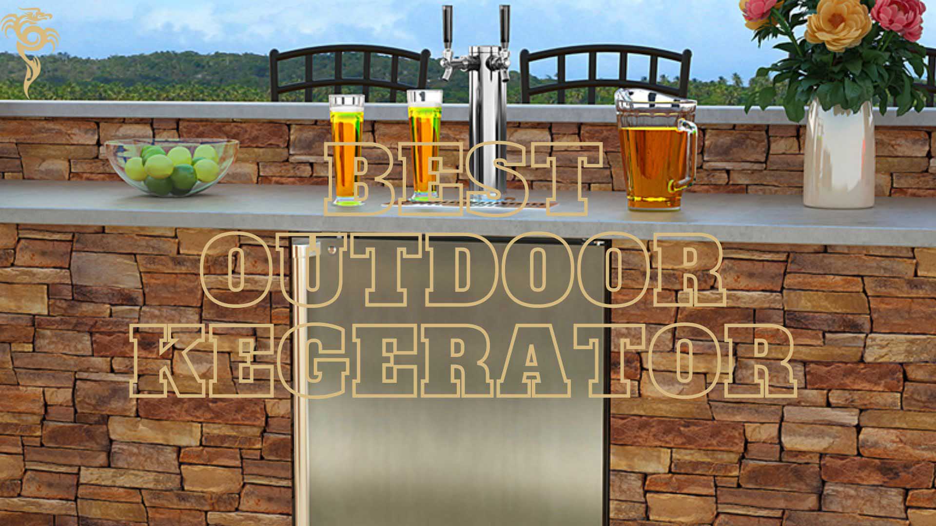 best outdoor kegerators